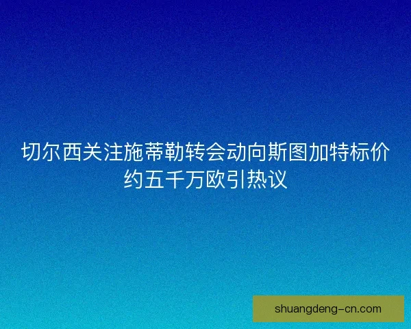 切尔西关注施蒂勒转会动向斯图加特标价约五千万欧引热议